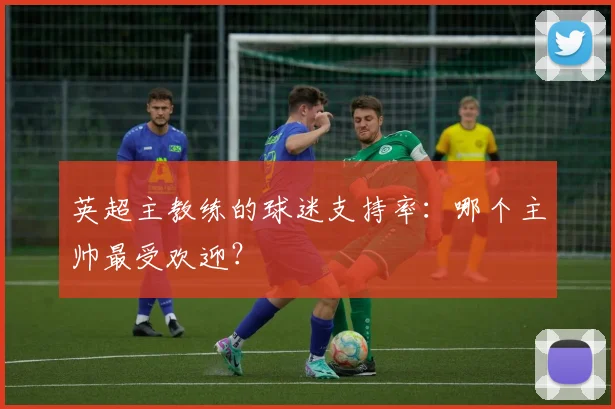 英超主教练的球迷支持率：哪个主帅最受欢迎？