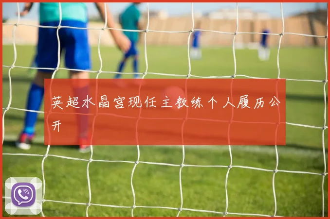 英超水晶宫现任主教练个人履历公开