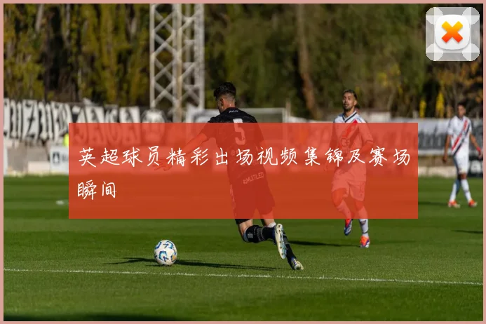 英超球员精彩出场视频集锦及赛场瞬间