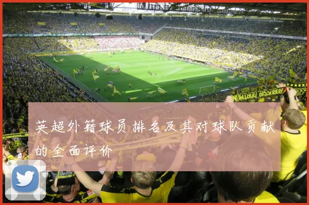 英超外籍球员排名及其对球队贡献的全面评价
