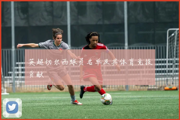 英超切尔西球员名单及其体育竞技贡献